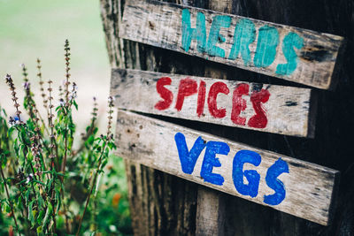 Close-up of road sign