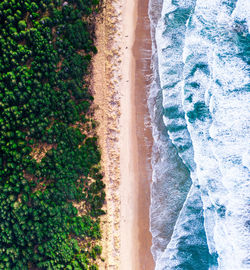 Aerial view of beach