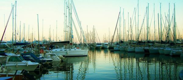 Boats moored at harbor against sky