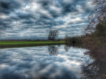 Reflection of trees in water