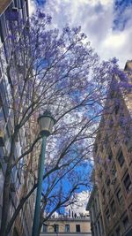 Low angle view of street amidst buildings against sky