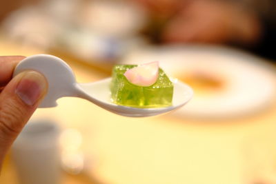 Close-up of hand holding ice cream