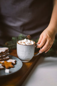 Hot cocoa with marshmallows and gingerbread cookies in female hands