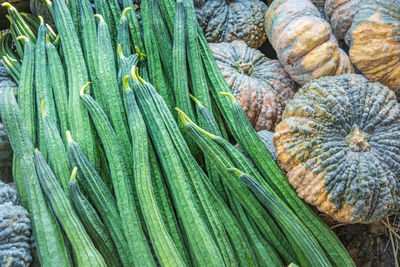 High angle view of ridge gourds and pumpkins at market for sale