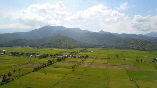 Scenic view of agricultural field against sky