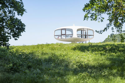 Low angle view of trees on field against clear sky