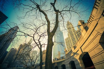 Low angle view of skyscrapers