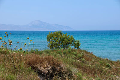 Scenic view of sea against clear sky