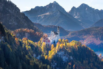 Panoramic view of trees and buildings against sky