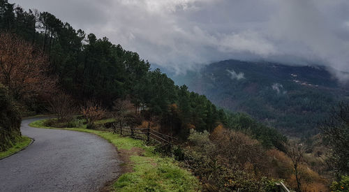 Road amidst trees against sky