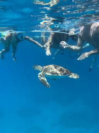 High angle view of man swimming in sea