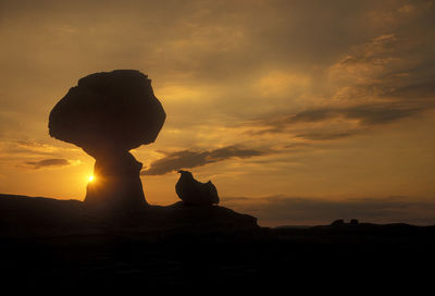 Silhouette woman standing against orange sky