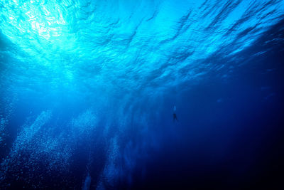 Close-up of scuba diver swimming in sea