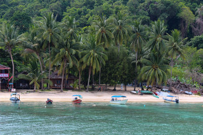People swimming in sea