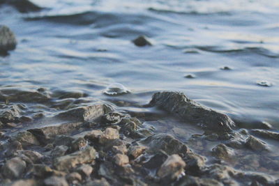 Close-up of stones at lakeshore