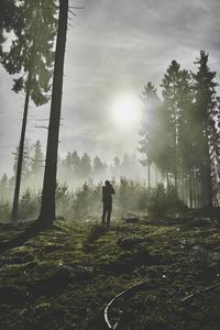 Silhouette man standing on tree in forest against sky