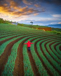 agriculture