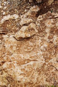 Full frame shot of rock