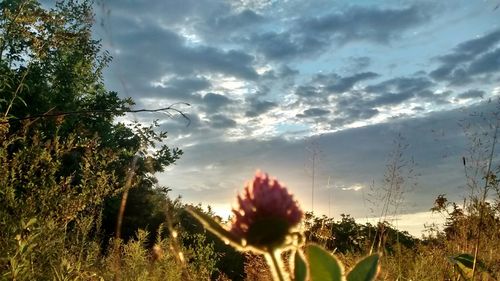 Scenic view of landscape against cloudy sky