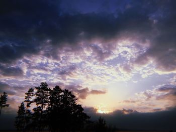 Low angle view of silhouette tree against sky during sunset