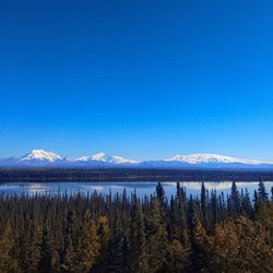 Scenic view of lake against clear blue sky