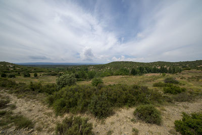 Scenic view of landscape against sky