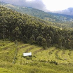 Scenic view of landscape