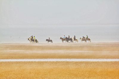 Group of people riding horses