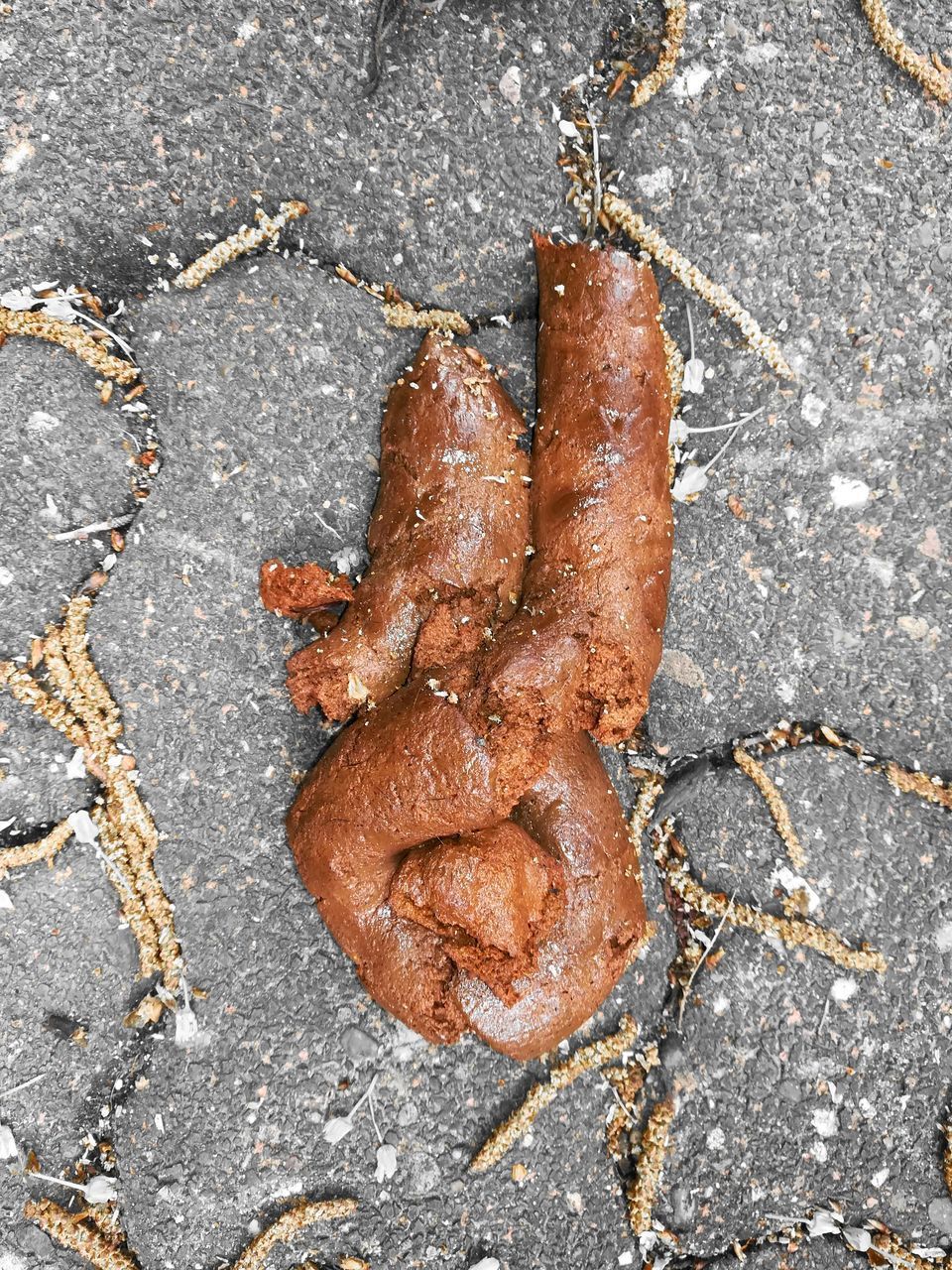 HIGH ANGLE VIEW OF CRAB ON COBBLESTONE