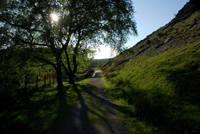 Road amidst trees against sky