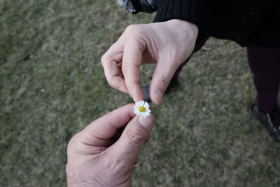 Cropped hand giving flower to woman