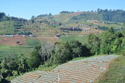 Panoramic shot of agricultural field against clear sky