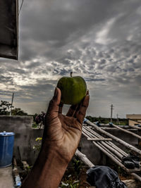 Person holding ice cream against sky
