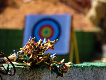 Close-up of arrows against an arrow