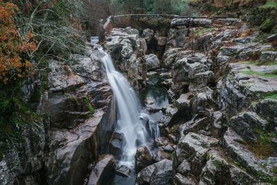 View of waterfall in forest