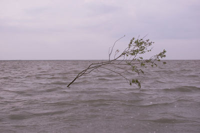 View of sea against sky