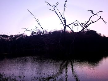 Silhouette bare tree by lake against sky at dusk