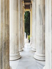 Rear view of people walking in building