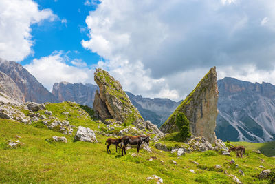 Scenic mountain views with donkeys on a meadow at a rock formation