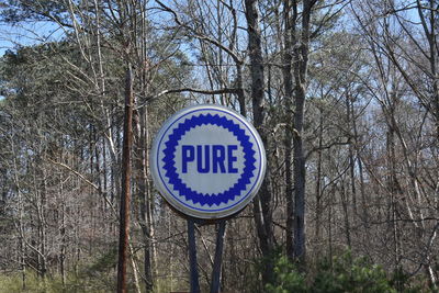 Close-up of road sign on bare trees