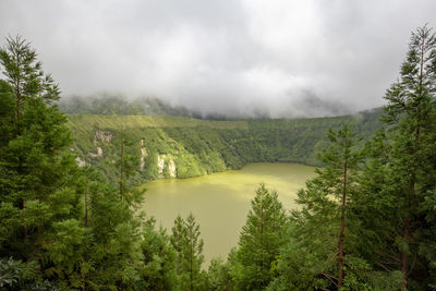 Scenic view of waterfall in forest against sky