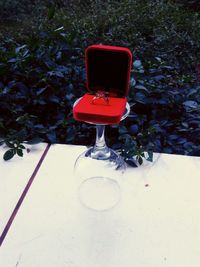 High angle view of red wine on table at yard