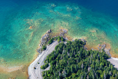 High angle view of plants on beach