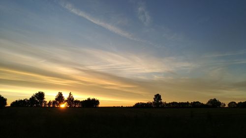 Silhouette trees on field against sky at sunset