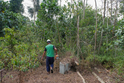 Rear view of man walking in forest