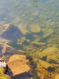 High angle view of river