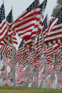 Low angle view of flags against the sky