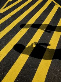 Shadow of people on zebra crossing