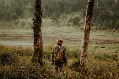 Full length of man standing on tree trunk in forest