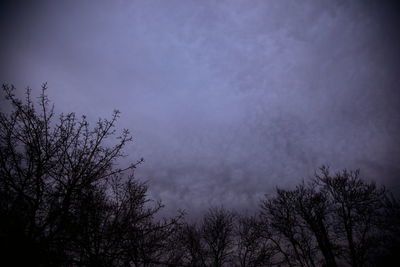 Low angle view of silhouette trees against sky at night